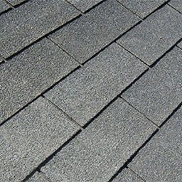 Shingle Roof